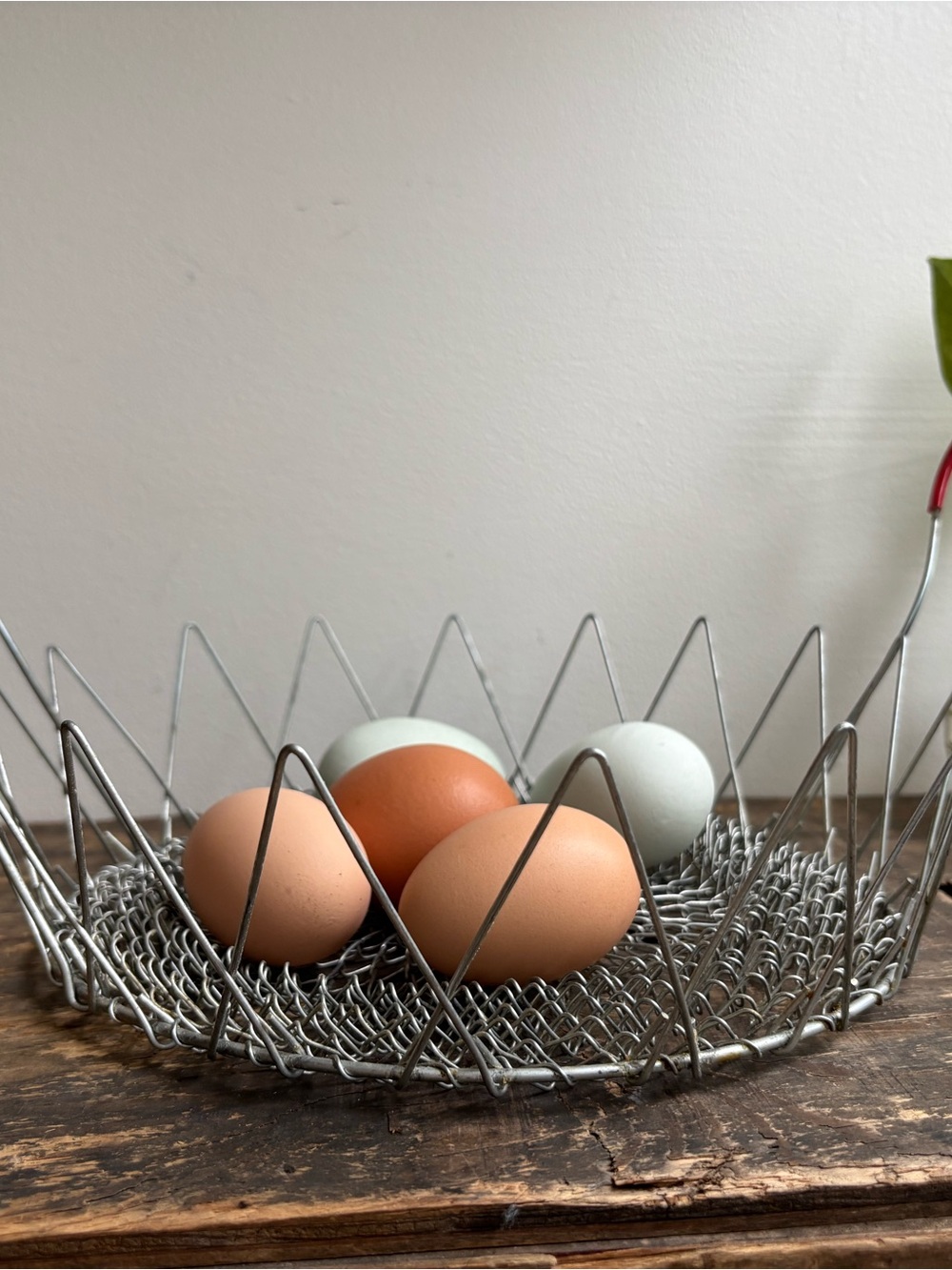 Vintage Wire Egg Basket that Folds. Farmhouse style antique.